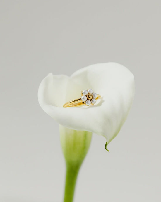 Daisy Anello Argento