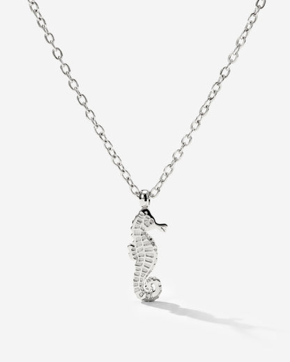 Seahorse Collana