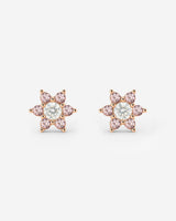 Orecchini a Oro Rosa
