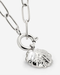 [[Colore:Argento]]