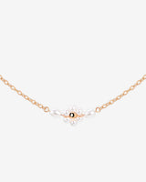 Daisy Choker Oro Rosa
