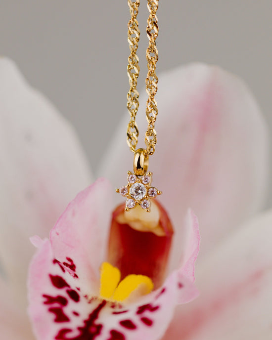 Collana con Argento