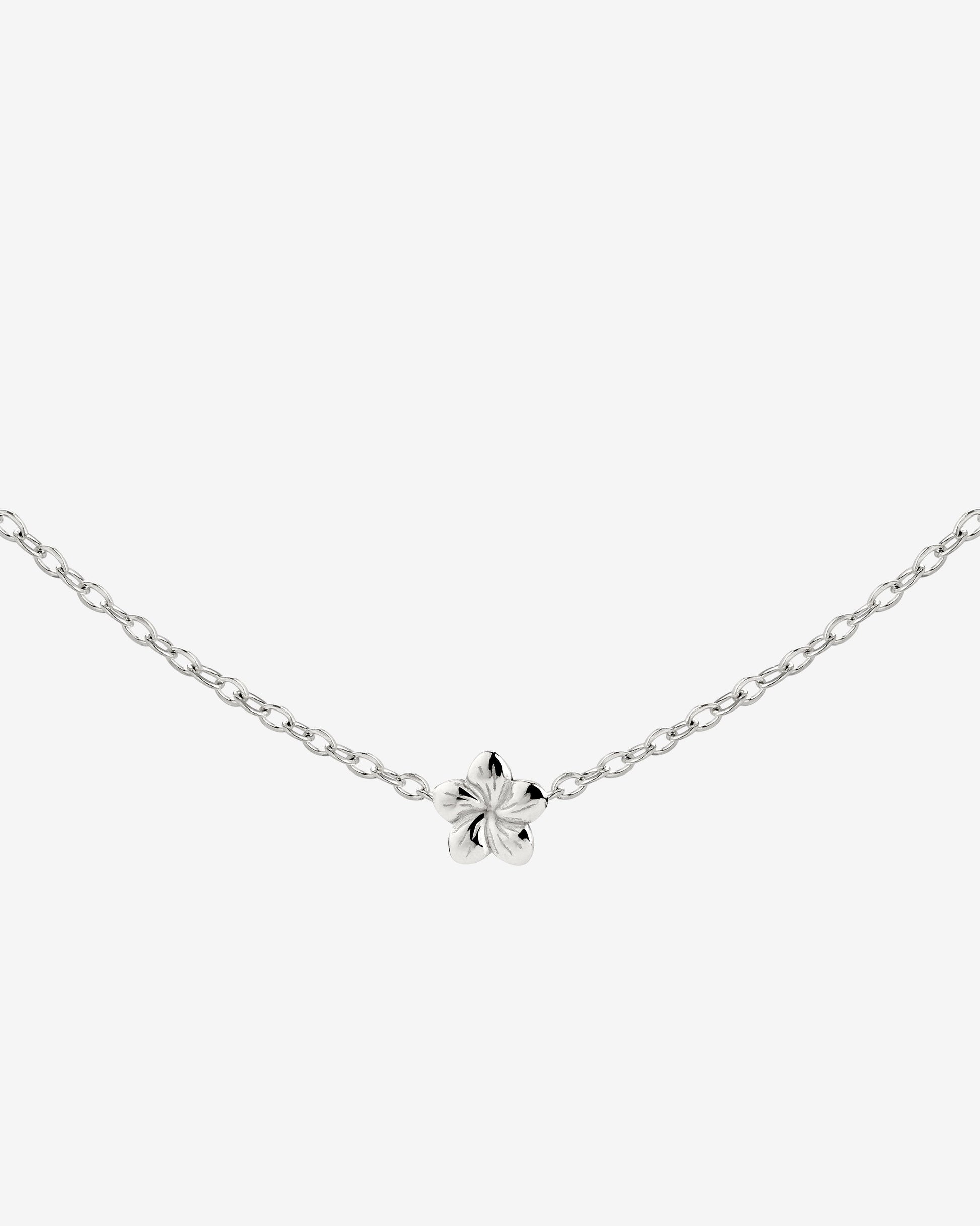 Floral Glow Choker Argento