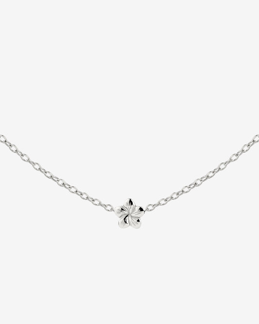 Floral Glow Choker Argento