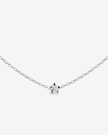 Floral Glow Choker Argento