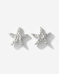 [[Colore:Argento]]