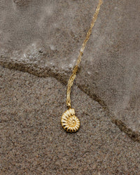 [[Farbe:Gold]]