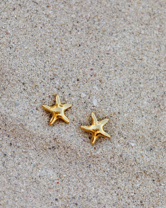 Sea Star Orecchini Argento