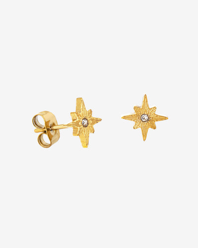Shiny Anna Stud Orecchini Oro