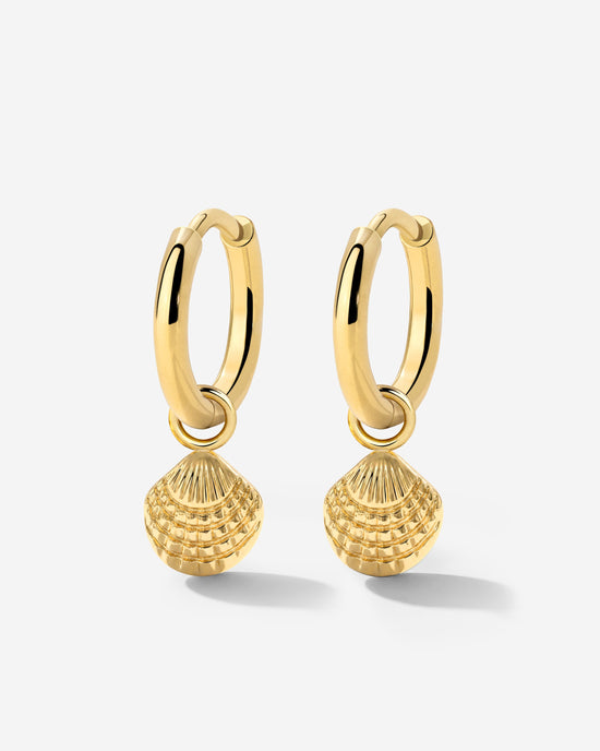 Cute Shell Hoop Set Oro