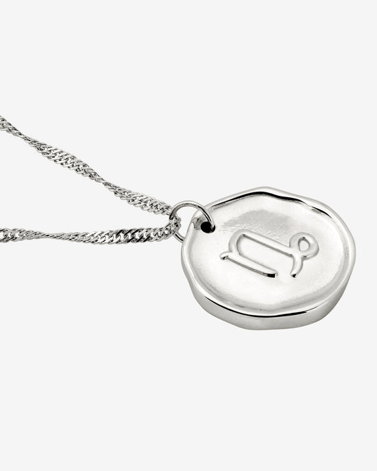 Zodiac Collana - Capricorno Argento