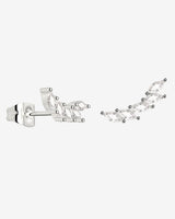 Sparkle Leaf Orecchini Argento