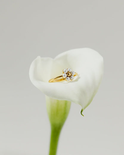 Daisy Anello Oro