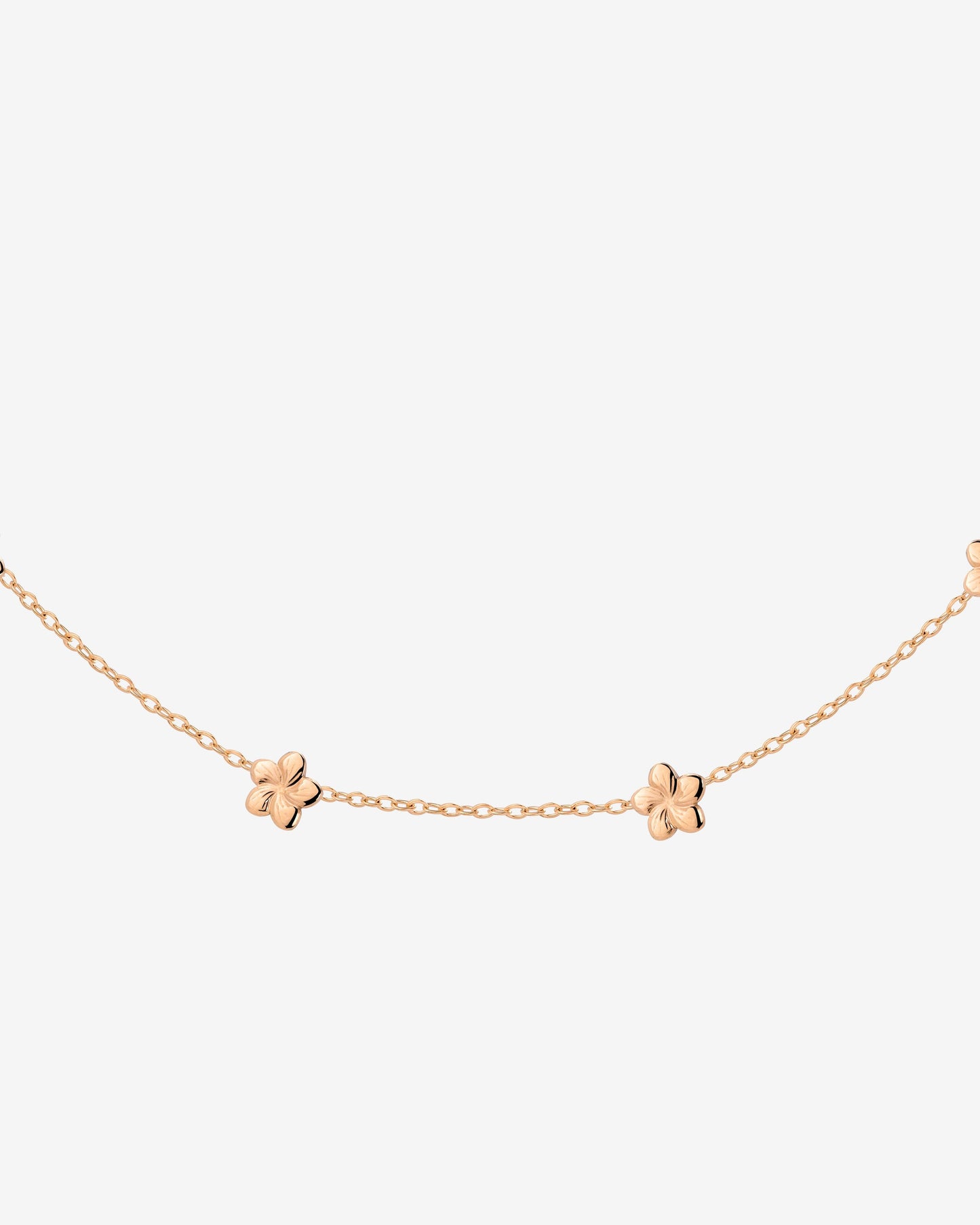 [[Colore:Oro Rosa]]