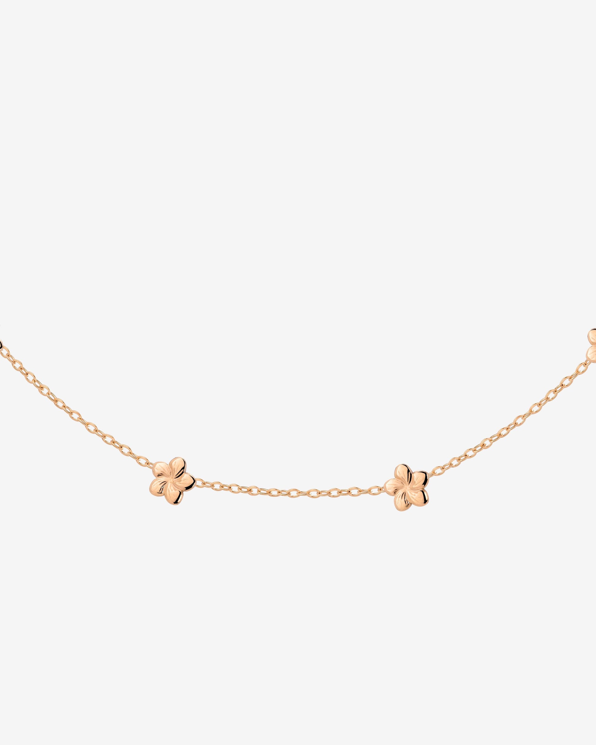 Meadow Choker Oro Rosa