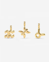 Bubble Zodiac Collana Charms