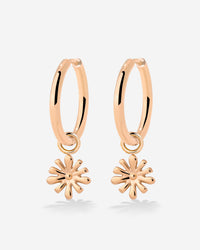 [[Colore:Oro Rosa]]