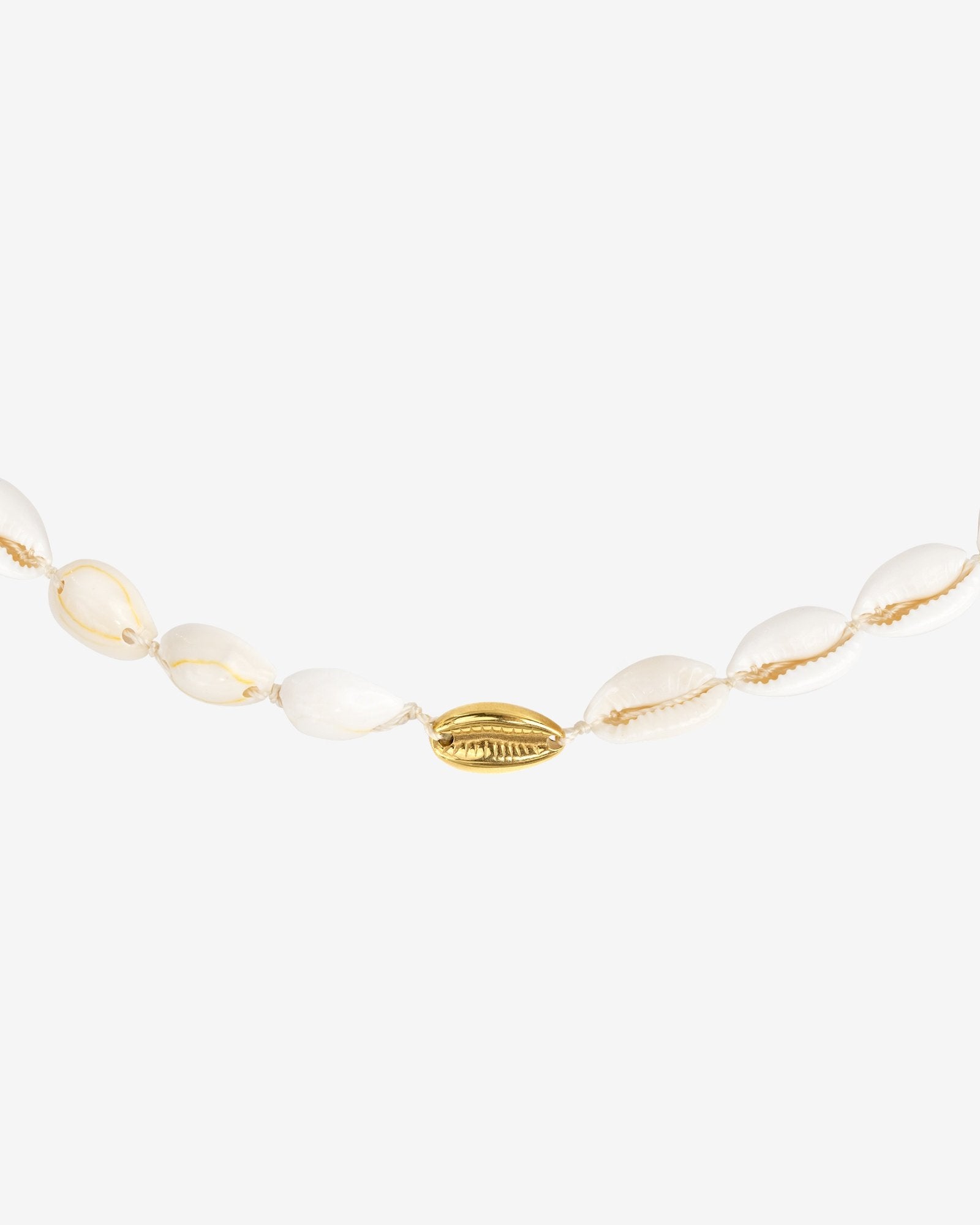One in a Shell Choker Oro