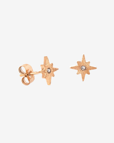 Shiny Anna Stud Orecchini Oro Rosa
