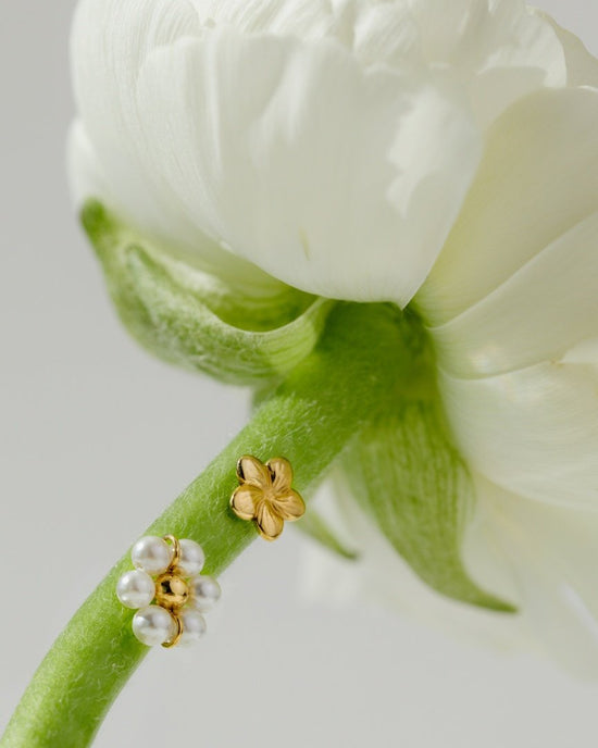 Daisy Orecchini Oro