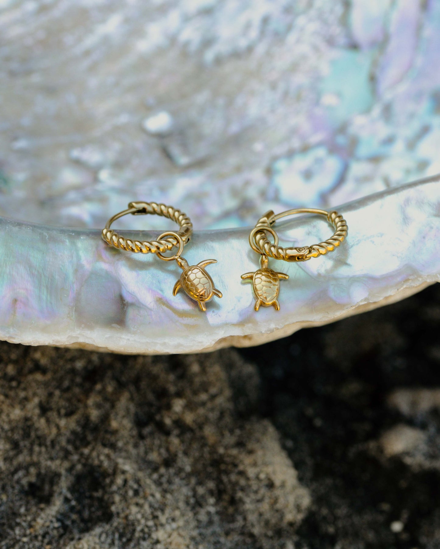 Sea Turtle Twisted Hoop Set Small Oro