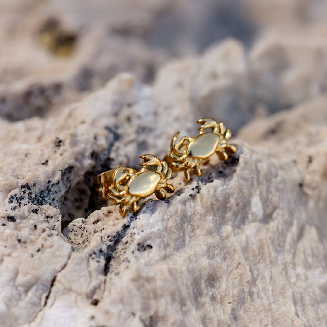 Crab Chaser Orecchini Argento