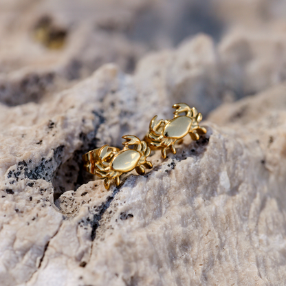 Crab Chaser Orecchini Argento