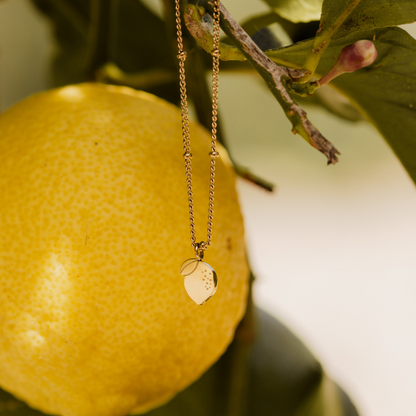 When Life gives you Lemons Collana Oro Rosa