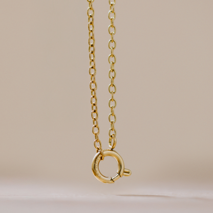 Classic Chain Charm Collana Oro Rosa