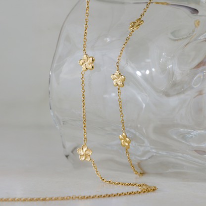 Meadow Bundle Oro