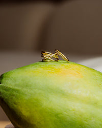 Prism Ring Gold