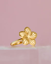 [[Colore:Oro Rosa]]
