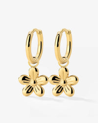 [[Colore:Oro]]
