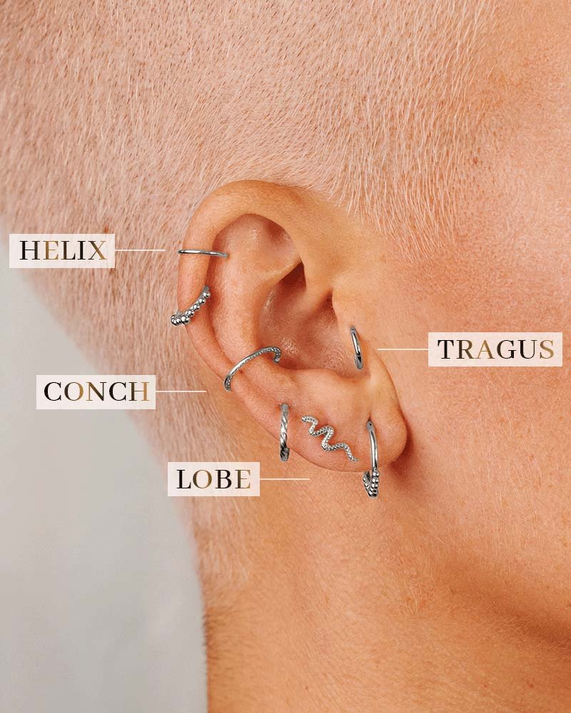 Snake Piercing Argento