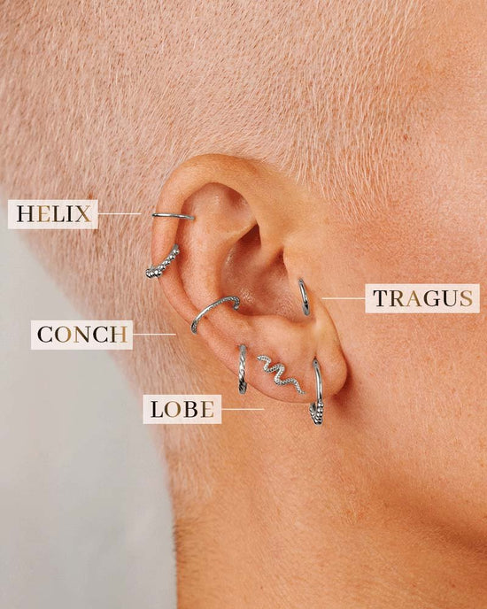 Snake Piercing Argento
