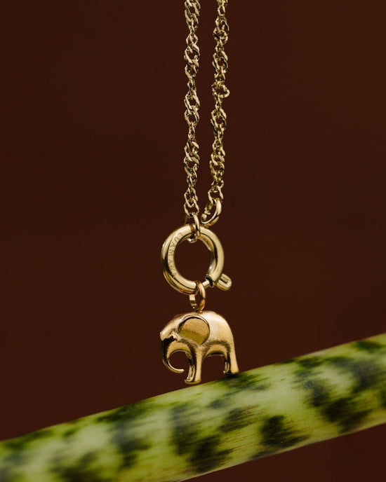 Elephant Singapore Chain Collana Set Argento