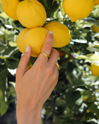 [[Colore:Oro]]