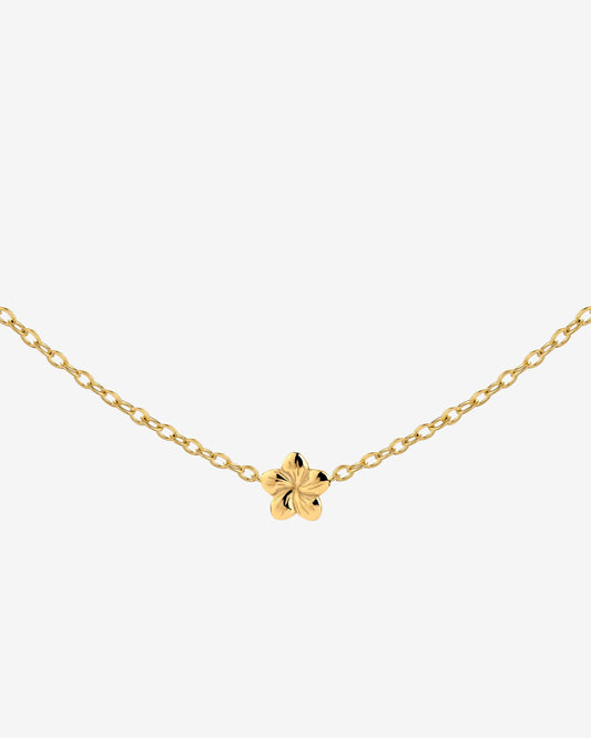 Floral Glow Choker Oro