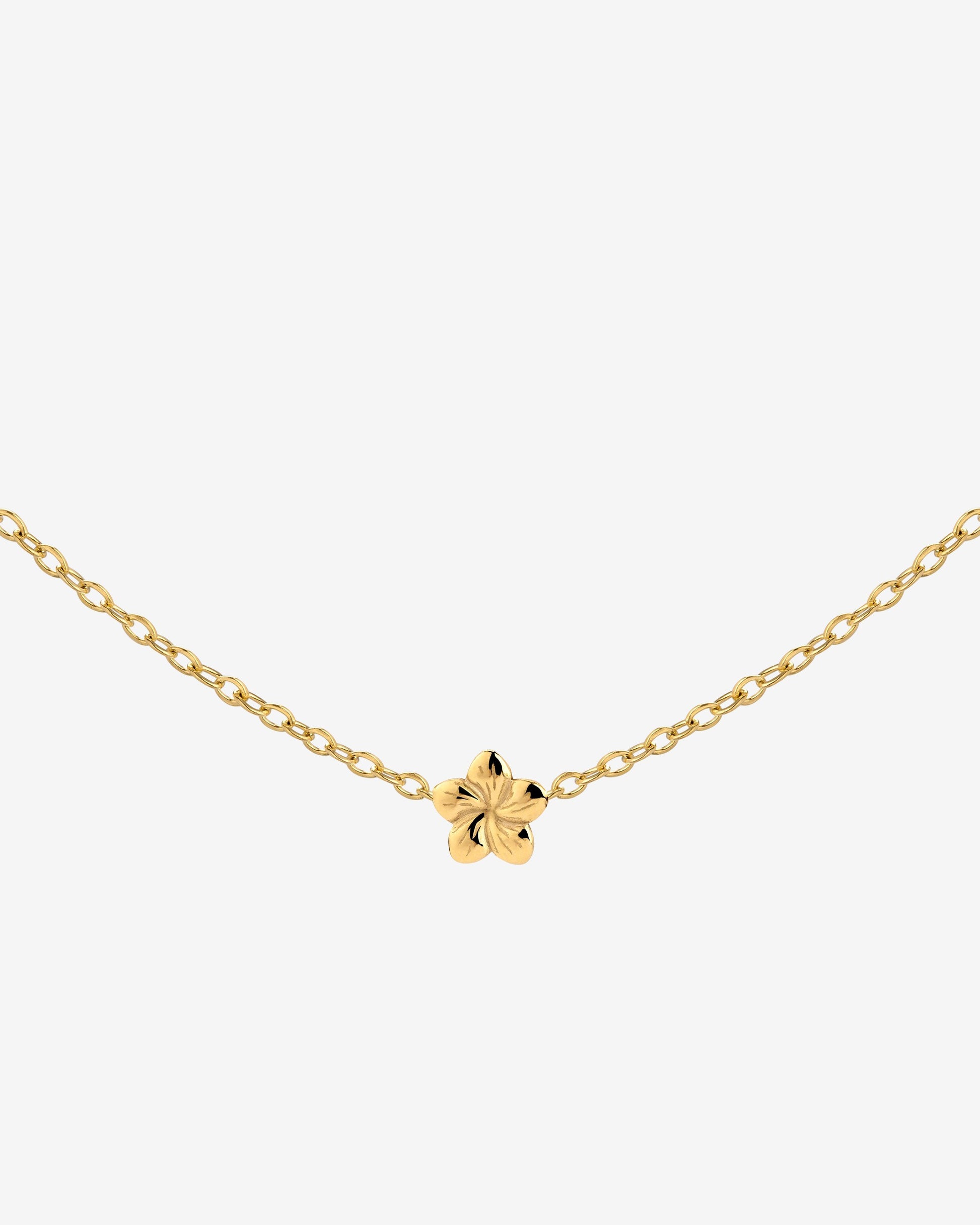 Floral Glow Choker Oro