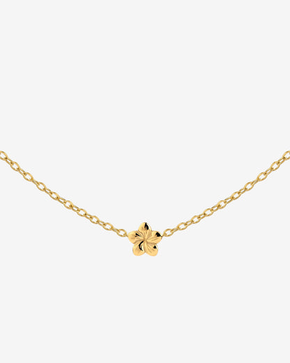Floral Glow Choker Oro