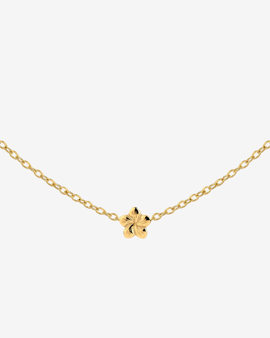 Floral Glow Choker Oro