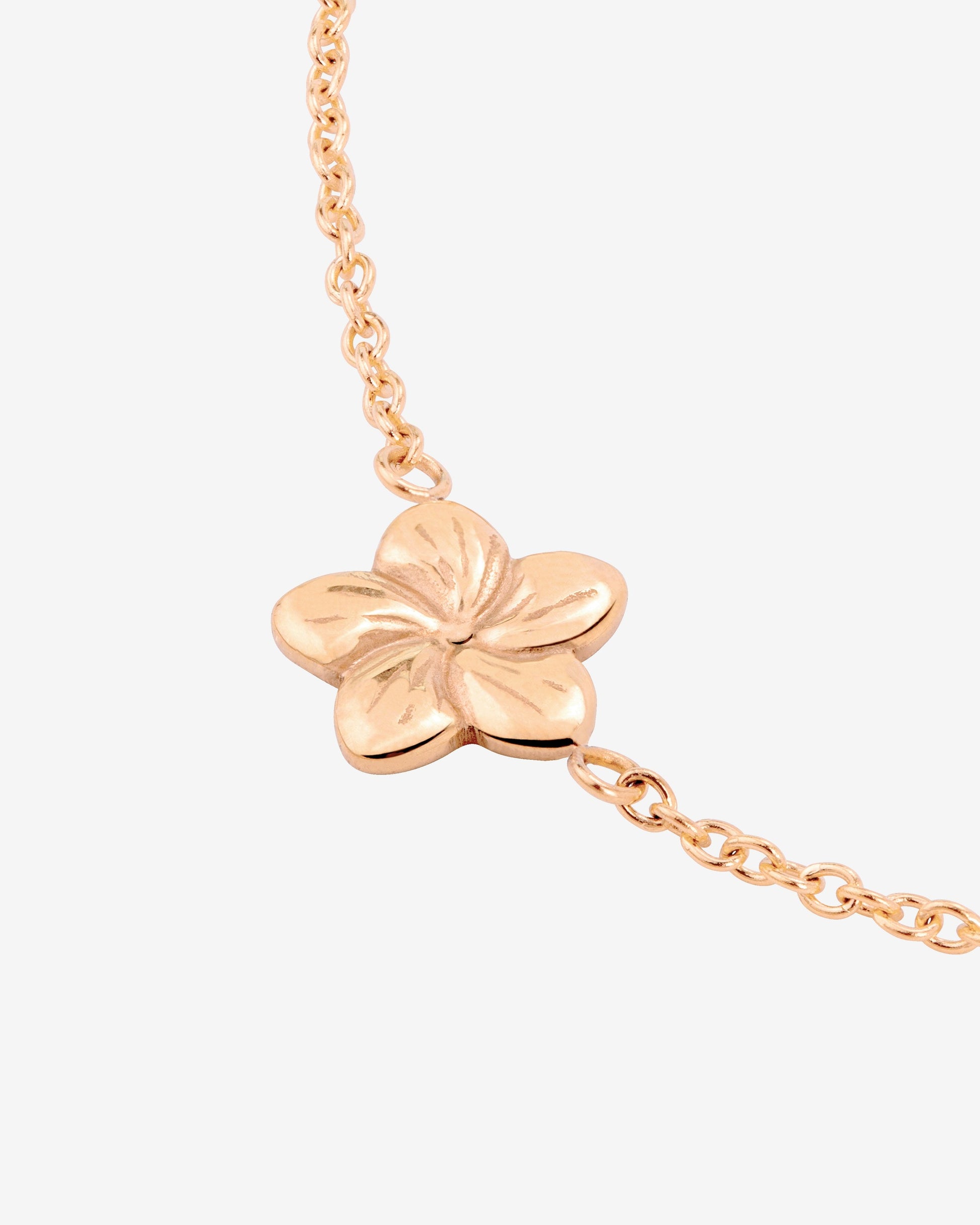 Floral Glow Choker Oro Rosa