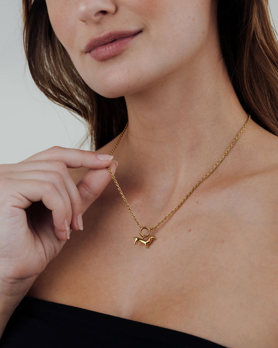Rope Chain Charm Collana Set