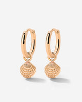 Cute Shell Hoop Set Oro Rosa