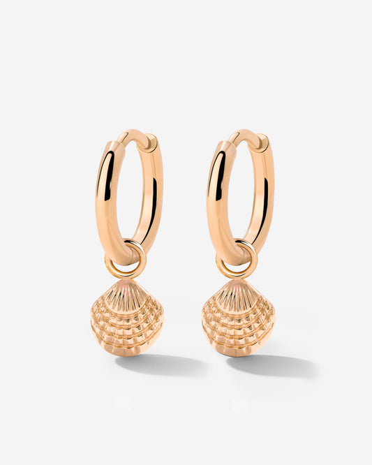 Cute Shell Hoop Set Oro Rosa