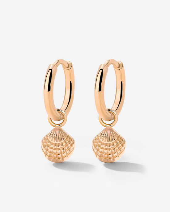 Cute Shell Hoop Set Oro Rosa