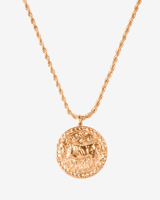 Zodiac Sign Collana Oro Rosa