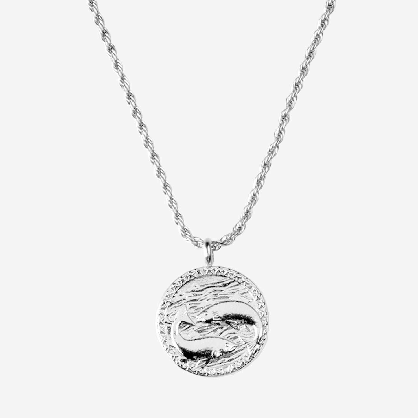 [[Farbe:Silber,Zodiac Sign:Fische]]