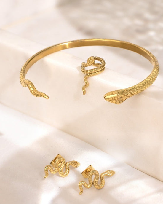 Charming Nicolas Bangle Argento