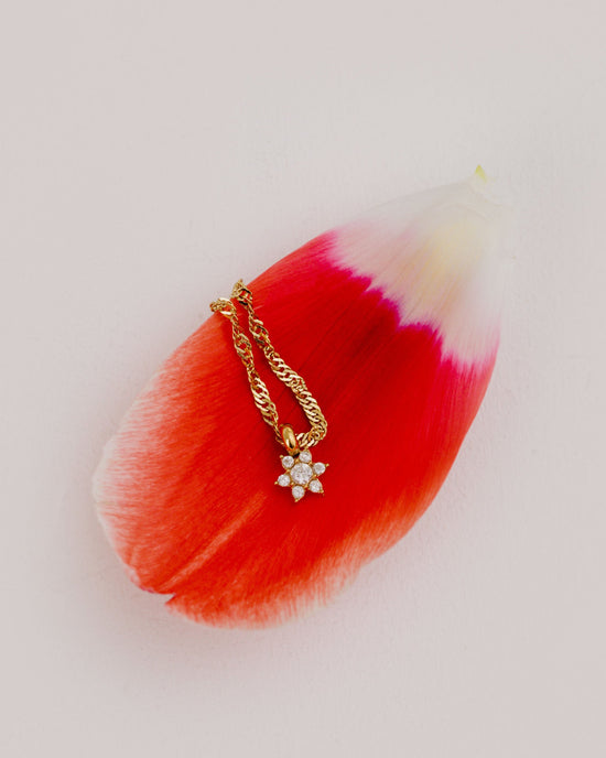 Collana Argento